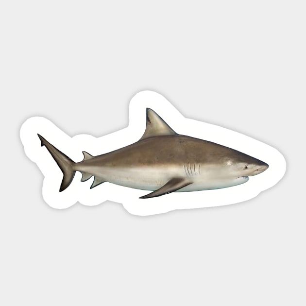 Bullshark Sticker by fishindecals